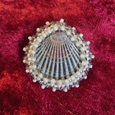 Broche Coquillage