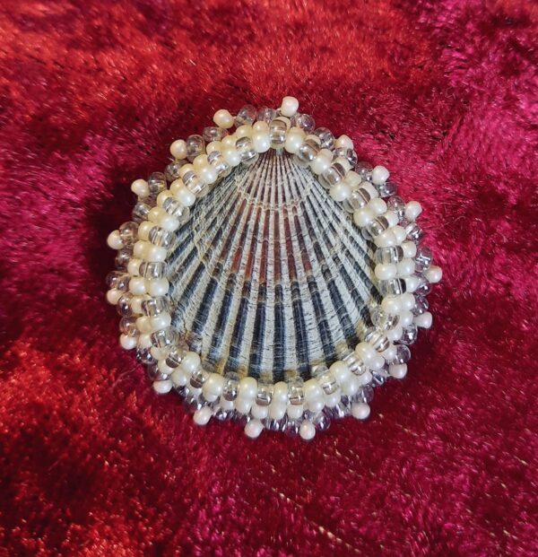 Broche Coquillage